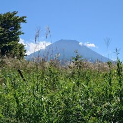 富士河口湖町富士ヶ嶺【富士ドクタービレッジ別荘地】売地