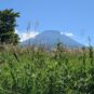 敷地から富士山一望