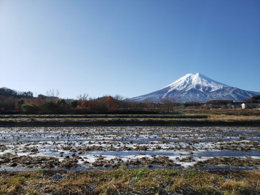 富士吉田市農村公園　凍った田んぼと富士山