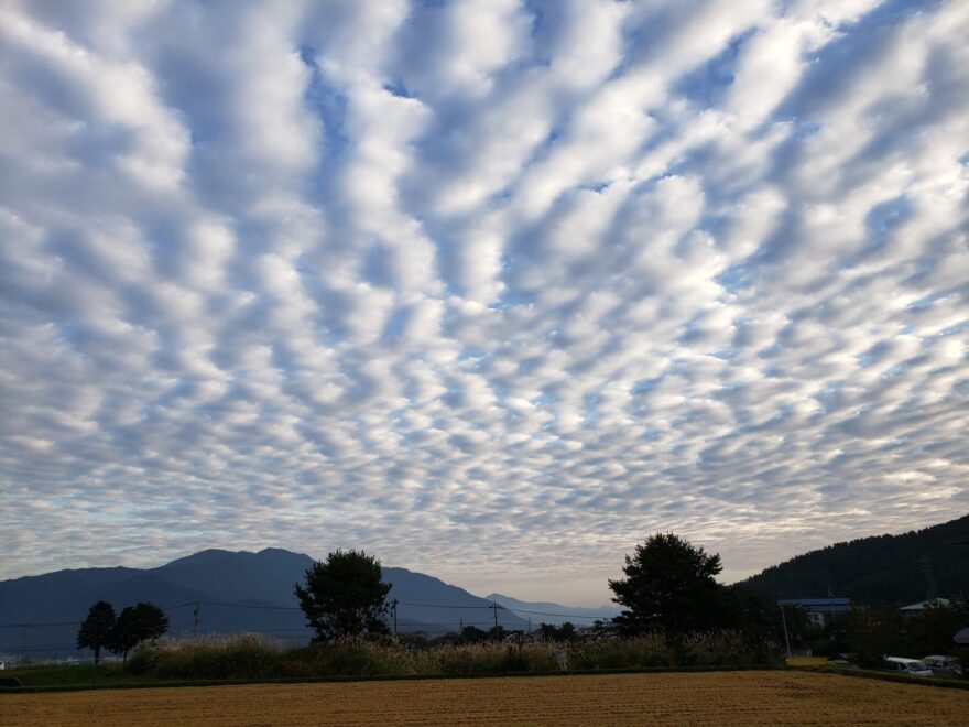 富士吉田市農村公園　ウロコ雲