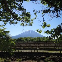 物件から見える富士山