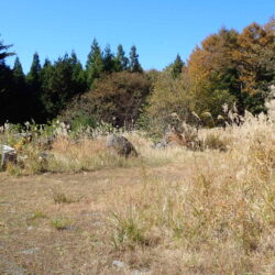 忍野村内野 売地