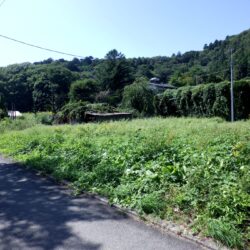 日当たり良好