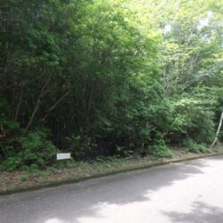 鳴沢村【紅葉台センチュリーヴィラ別荘地】 売地