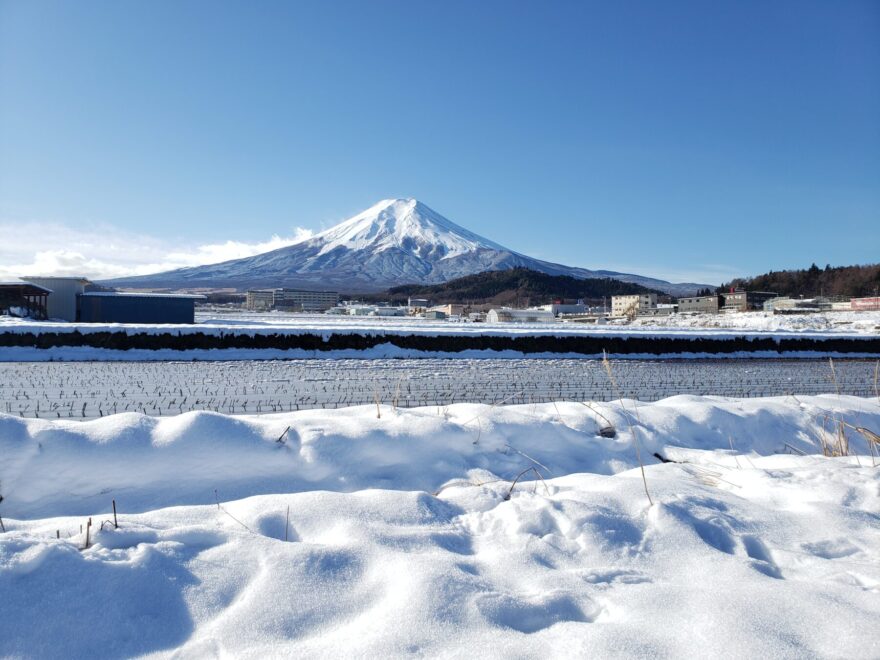富士吉田市農村公園　雪景色の田んぼと富士山