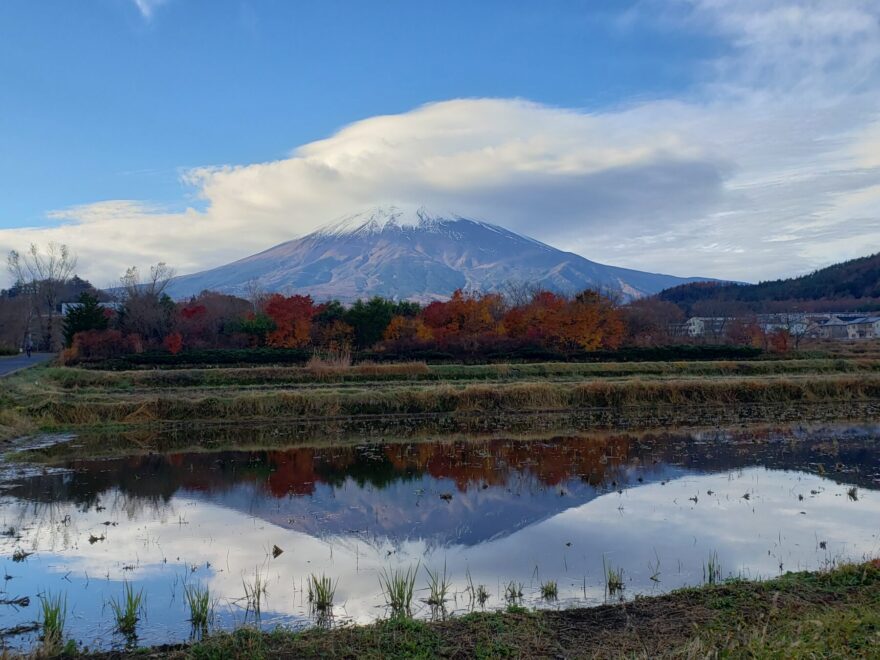 富士吉田市農村公園　田んぼの逆さの紅葉と富士山