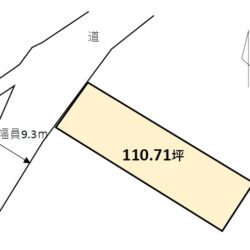 土地図