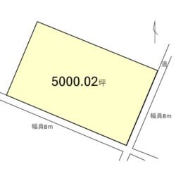 土地図